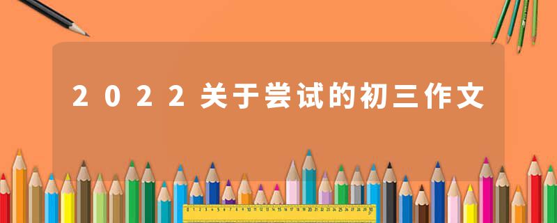 2022关于尝试的初三作文