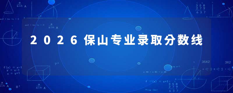 2026保山专业录取分数线