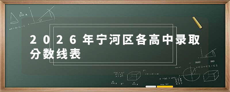 2026年宁河区各高中录取分数线表