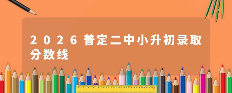 2026普定二中小升初录取分数线