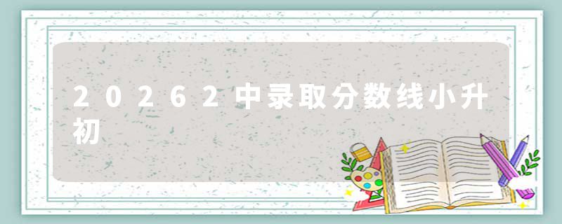 20262中录取分数线小升初