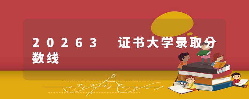 20263 证书大学录取分数线