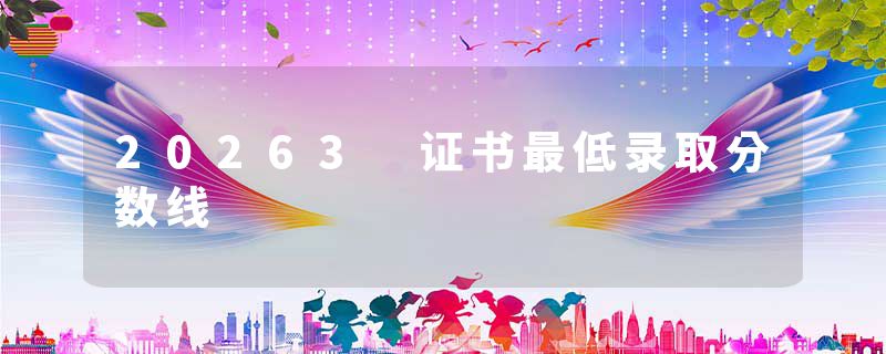 20263 证书最低录取分数线