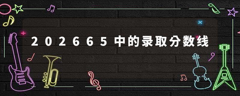 202665中的录取分数线