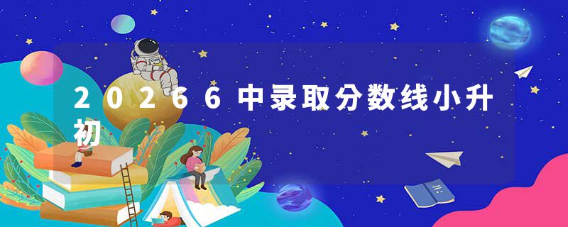 20266中录取分数线小升初