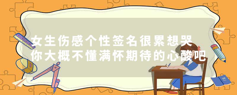 女生伤感个性签名很累想哭 你大概不懂满怀期待的心酸吧
