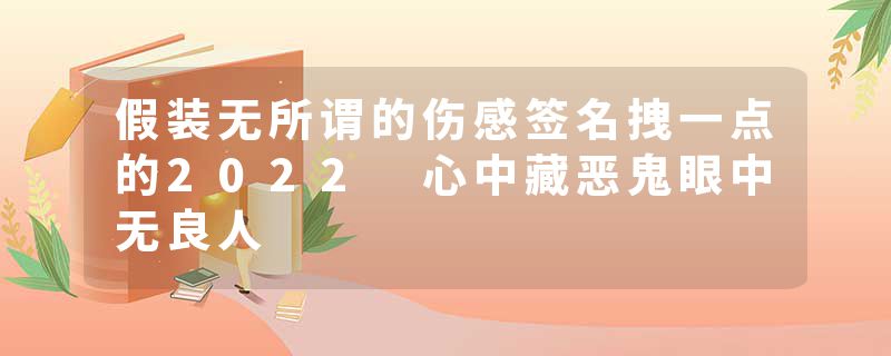 假装无所谓的伤感签名拽一点的2022 心中藏恶鬼眼中无良人