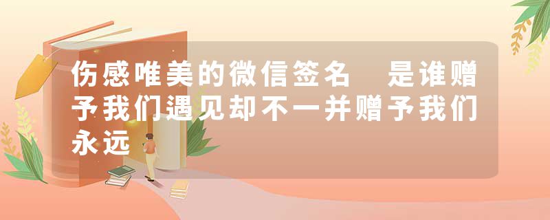 伤感唯美的微信签名 是谁赠予我们遇见却不一并赠予我们永远