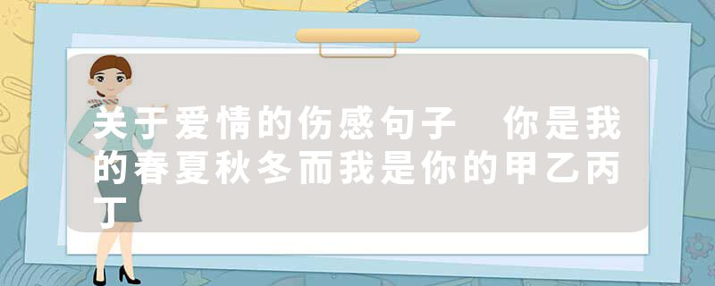 关于爱情的伤感句子 你是我的春夏秋冬而我是你的甲乙丙丁