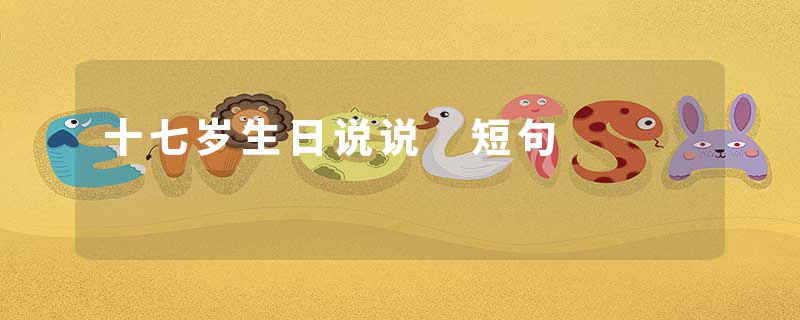 十七岁生日说说 短句