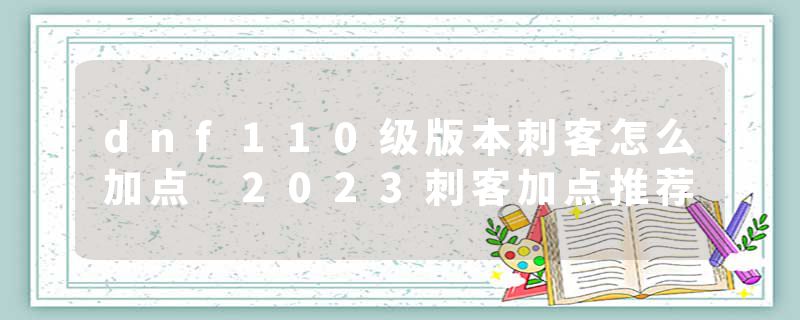 dnf110级版本刺客怎么加点 2023刺客加点推荐