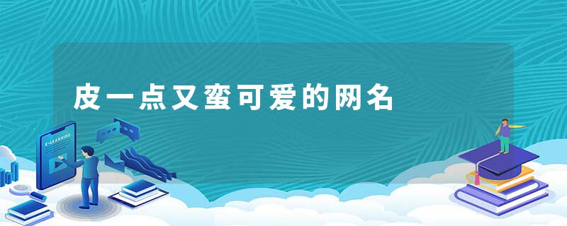 皮一点又蛮可爱的网名