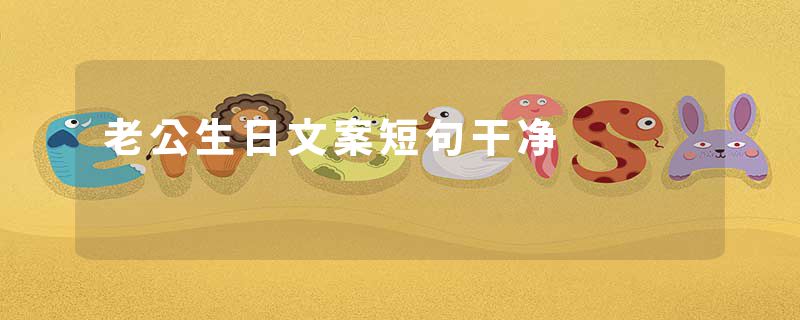 老公生日文案短句干净