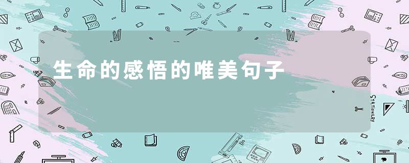 生命的感悟的唯美句子