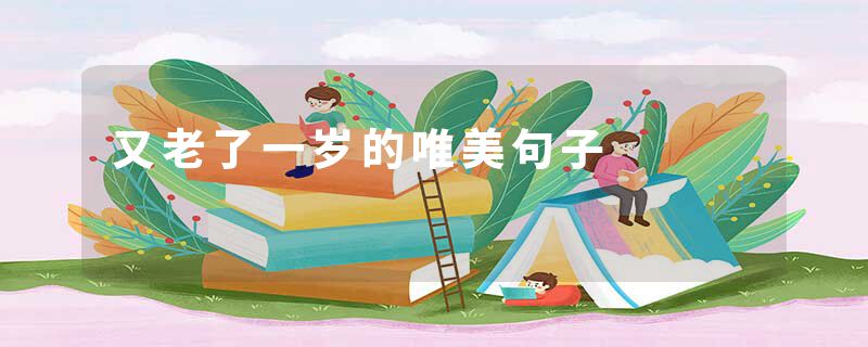 又老了一岁的唯美句子