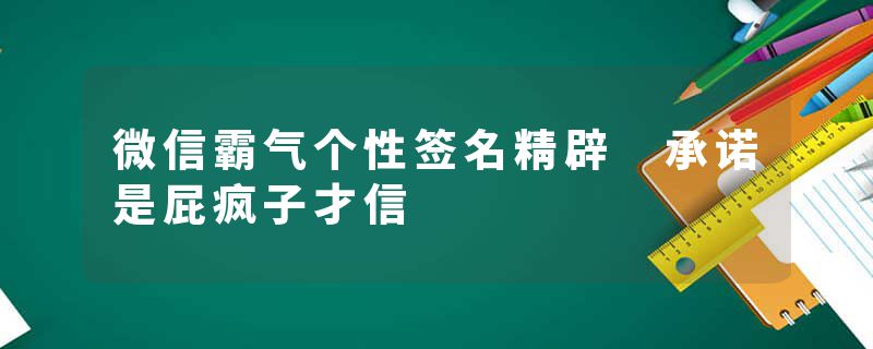 微信霸气个性签名精辟 承诺是屁疯子才信