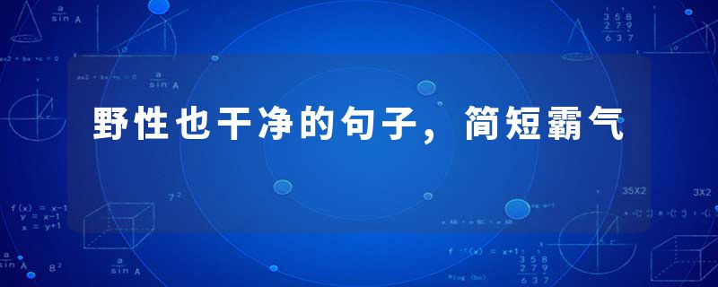 野性也干净的句子,简短霸气