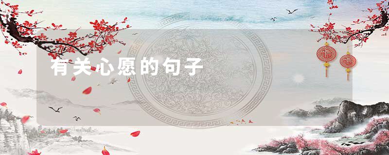 有关心愿的句子