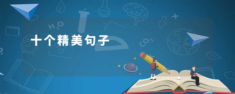 十个精美句子