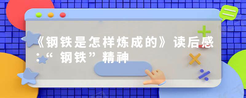 《钢铁是怎样炼成的》读后感：“钢铁”精神