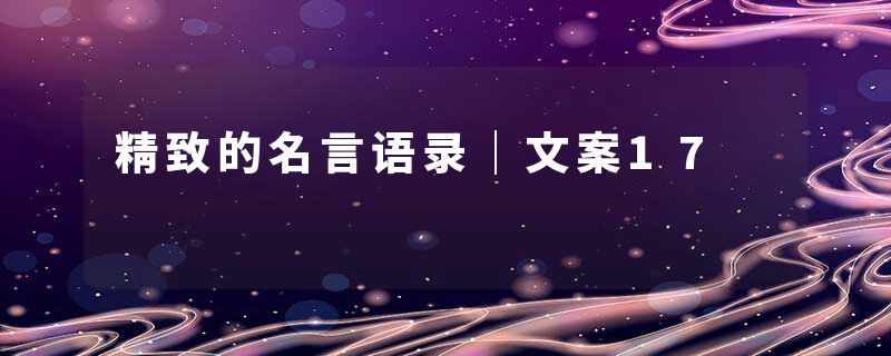精致的名言语录|文案17