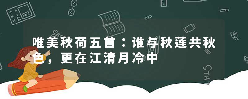 唯美秋荷五首：谁与秋莲共秋色，更在江清月冷中