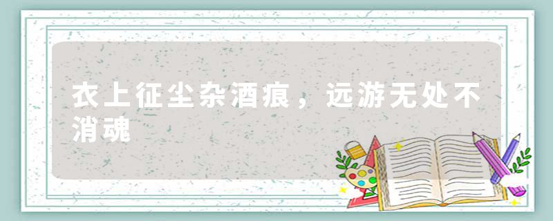 衣上征尘杂酒痕，远游无处不消魂
