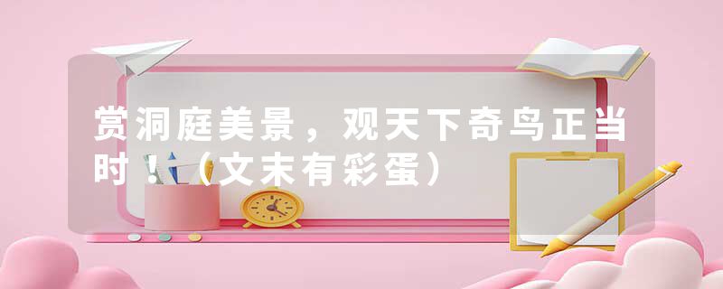 赏洞庭美景，观天下奇鸟正当时！（文末有彩蛋）