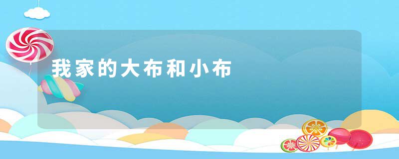 我家的大布和小布