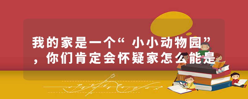 我的家是一个“小小动物园”，你们肯定会怀疑家怎么能是