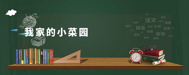 我家的小菜园