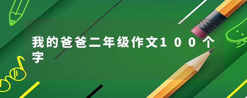 我的爸爸二年级作文100个字