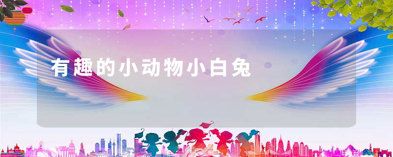 有趣的小动物小白兔