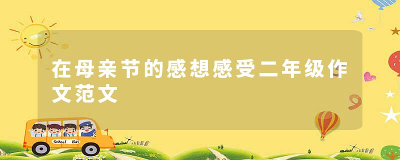 在母亲节的感想感受二年级作文范文