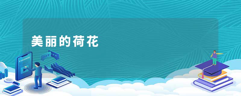 美丽的荷花