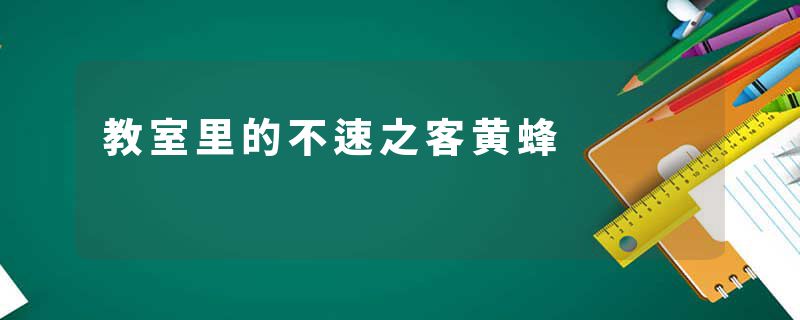 教室里的不速之客黄蜂
