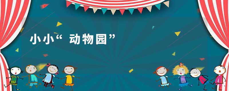 小小“动物园”