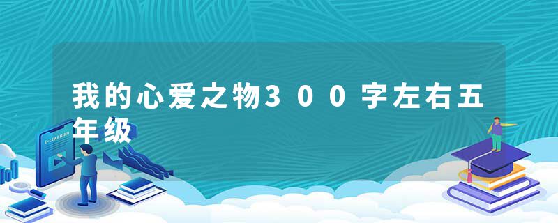 我的心爱之物300字左右五年级