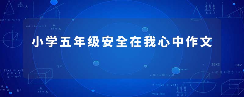 小学五年级安全在我心中作文