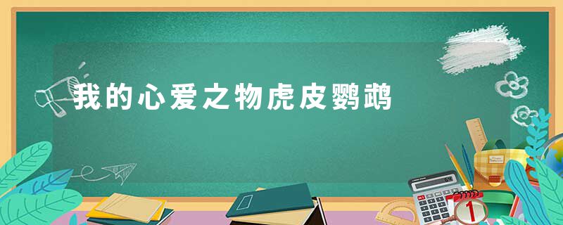 我的心爱之物虎皮鹦鹉