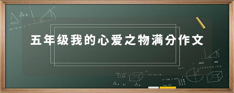 五年级我的心爱之物满分作文