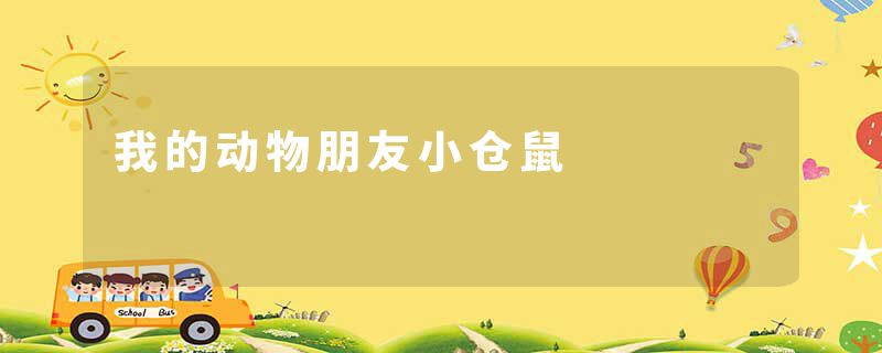 我的动物朋友小仓鼠