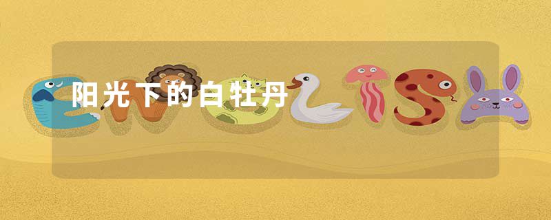 阳光下的白牡丹