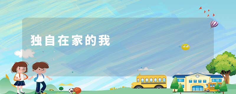 独自在家的我