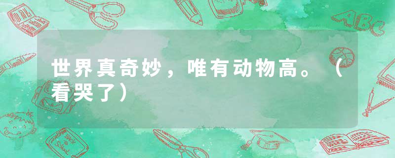 世界真奇妙，唯有动物高。（看哭了）