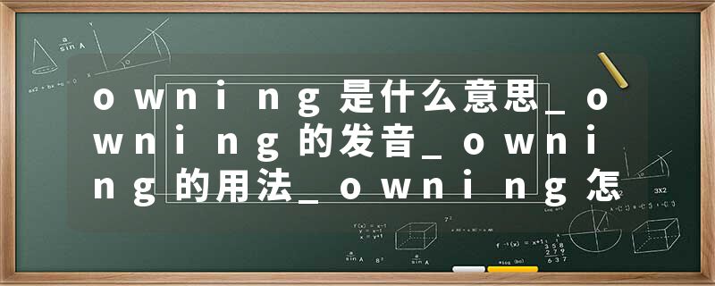 owning是什么意思_owning的发音_owning的用法_owning怎么记_owning翻译