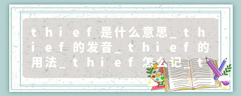 thief是什么意思_thief的发音_thief的用法_thief怎么记_thief翻译