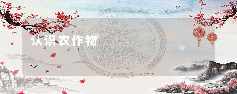 认识农作物