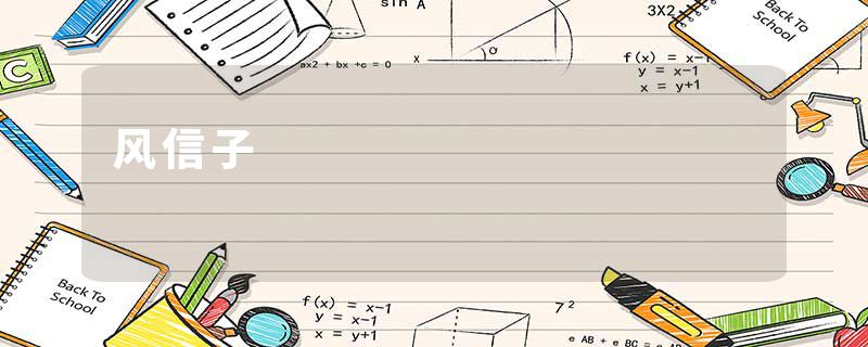 风信子