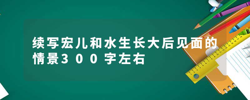 续写宏儿和水生长大后见面的情景300字左右